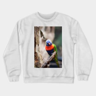 Rainbow Beauty Crewneck Sweatshirt